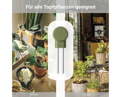 Capteur de plantes FYTA pour plantes en pot à l'intérieur et à l'extérieur avec deux tiges métalliques pour la mesure du sol.