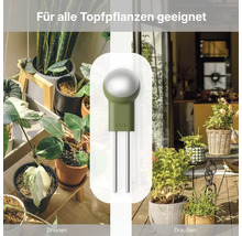 FYTA Pflanzensensor im Einsatz bei Zimmerpflanzen und auf der Terrasse, geeignet für alle Topfpflanzen.