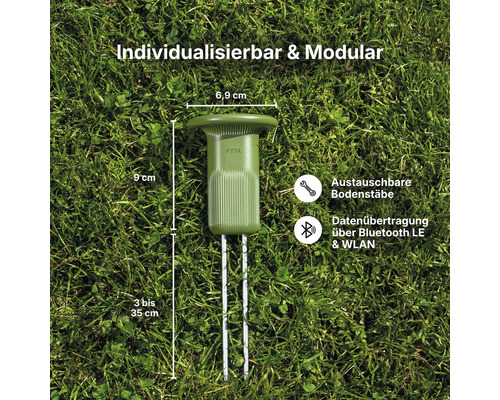 FYTA Beam Pflanzensensor auf Rasen mit Maßen 6,9 mal 9 Zentimeter, Bodenstäbe 3 bis 35 Zentimeter, Bluetooth und WLAN Datenübertragung.
