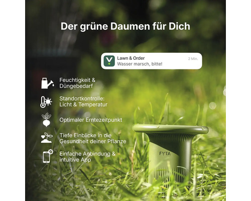 FYTA smarter Pflanzensensor im Rasen zeigt Funktionen wie Feuchtigkeitsmessung, Lichtkontrolle, Temperaturüberwachung und App-Anbindung.