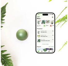 Grüner, kugelförmiger smarter Pflanzensensor neben einem Smartphone mit Pflanzenpflege-App und Statusmeldungen, umgeben von Farnblättern.