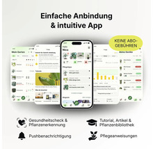 App-Oberfläche für Pflanzenpflege mit Pflanzenerkennung, Pflegeanleitungen, Push-Benachrichtigungen und ohne Abonnement-Gebühren.