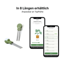 Capteur de plante intelligent avec application pour choisir la longueur de la tige adaptée à la hauteur du pot, disponible en 8 longueurs.