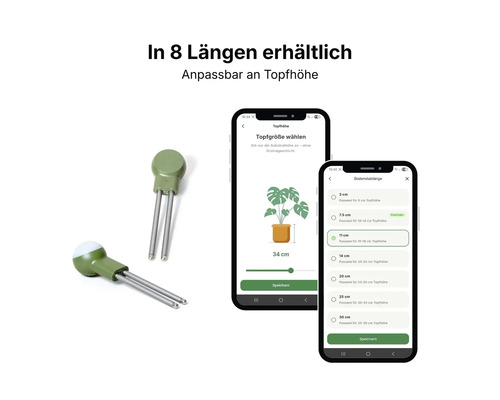 Capteur de plante intelligent avec application pour choisir la longueur de la tige adaptée à la hauteur du pot, disponible en 8 longueurs.