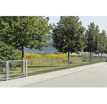 Verzinkter Doppelstabmattenzaun mit passendem Einflügeltor an einem gepflasterten Gehweg vor einer Baumreihe.