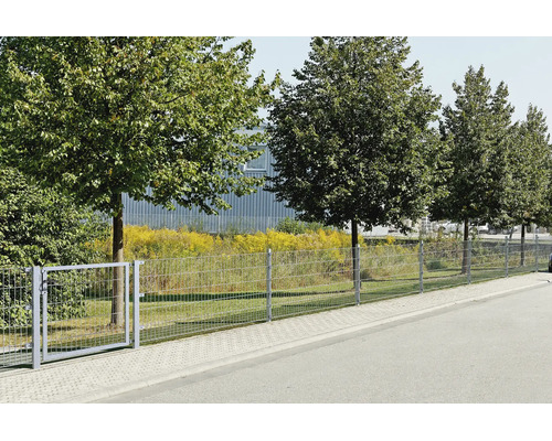 Verzinkter Doppelstabmattenzaun mit passendem Einflügeltor an einem gepflasterten Gehweg vor einer Baumreihe.