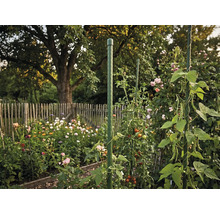 Tuteur de jardin vert en plastique pour tomates et plantes grimpantes dans un jardin fleuri avec une clôture en bois.