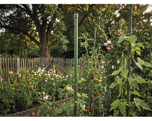 Tuteur de jardin vert en plastique pour tomates et plantes grimpantes dans un jardin fleuri avec une clôture en bois.
