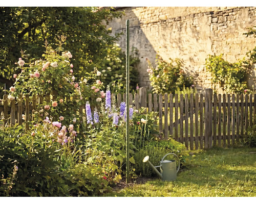 Tuteur à tomates en spirale vert dans un jardin fleuri avec des roses, des dauphinelles et un arrosoir devant une clôture en bois.