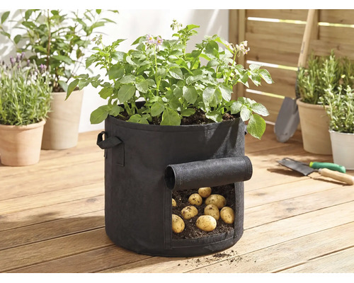 Schwarzer Kartoffel-Pflanzsack aus Textil auf einer Holzterrasse mit Sichtfenster zur Kartoffelernte und grünen Pflanzen.