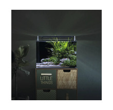 Nano-aquarium aménagé avec éclairage LED sur une commode, agrémenté de plantes aquatiques.