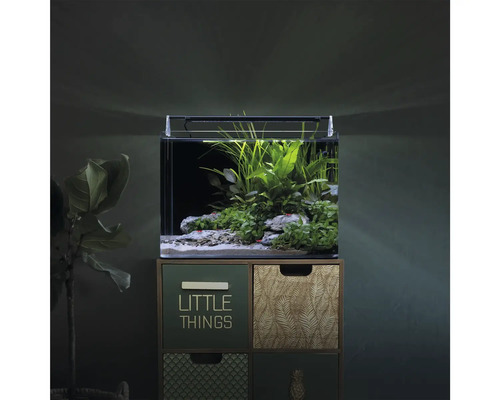 Nano-aquarium aménagé avec éclairage LED sur une commode, agrémenté de plantes aquatiques.