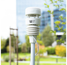 Station météo Ecowitt WS90 de Shelly, montée sur un mât en extérieur.