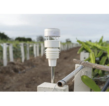 Anémomètre intelligent Netatmo monté sur une tige métallique dans un champ avec des rangées de plantes.