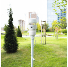 Station météo 7 en 1 Ecowitt WS90 sur un mât dans un jardin lumineux et bien entretenu avec pelouse et arbres.