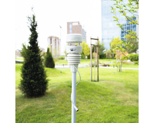 Station météo 7 en 1 Ecowitt WS90 sur un mât dans un jardin lumineux et bien entretenu avec pelouse et arbres.