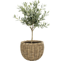 Panier à plantes Leah Sanur fibre naturelle 50 x 50 x 40 cm gris marron