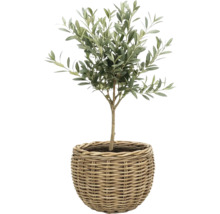 Pflanzkorb Leah Sanur Naturfaser 40 x 40 x 30 cm grau braun