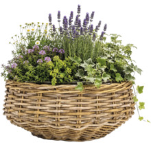 Panier à plantes Leah Jakarta fibre naturelle 38 x 38 x 16 cm gris marron