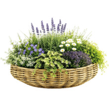 Panier à plantes Leah Jakarta fibre naturelle 48 x 48 x 20 cm gris marron