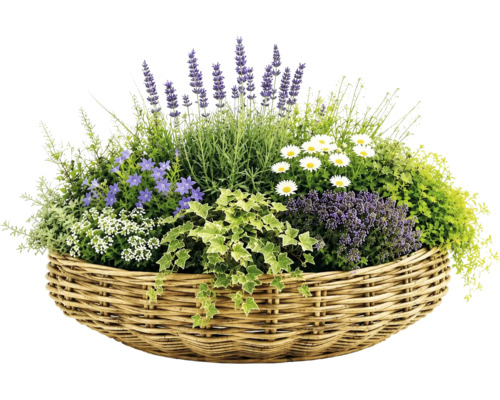 Panier à plantes Leah Jakarta fibre naturelle 48 x 48 x 20 cm gris marron