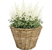 Panier à plantes Leah Full Kubu fibre naturelle Ø 29 cm h 20 cm gris marron