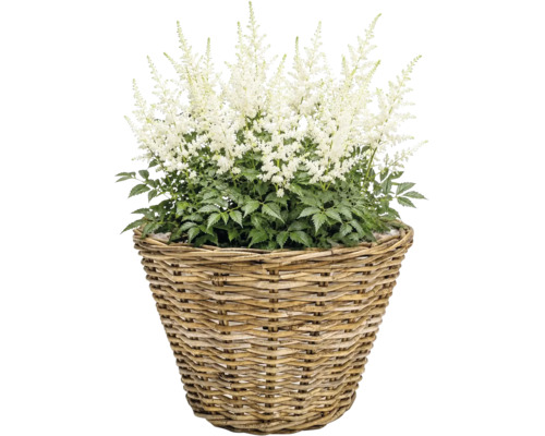 Panier à plantes Leah Full Kubu fibre naturelle Ø 29 cm h 20 cm gris marron