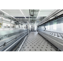 Helle Industrieanlage mit Edelstahlmaschinen, Rohrleitungen und grauem Sechskant-Fliesenboden. Organisierte, hygienische Produktionshalle.