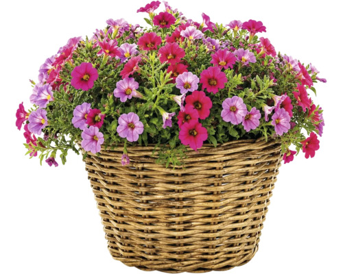 Panier à plantes Split en fibre naturelle, Ø 29 cm, H 20 cm, gris