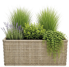 Panier de plantation rectangulaire tressé avec des herbes ornementales, de la lavande et des plantes retombantes.