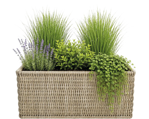 Panier de plantation rectangulaire tressé avec des herbes ornementales, de la lavande et des plantes retombantes.