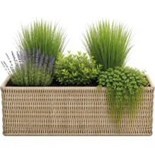 Jardinière rectangulaire en résine tressée avec lavande, herbe ornementale et plantes vertes tombantes.