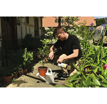 Un homme sur une terrasse ensoleillée verse de l'engrais liquide d'une bouteille dans un arrosoir blanc à côté d'un agrume en pot.