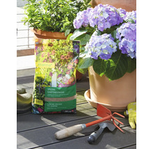 Sac d'engrais spécial jardin Manna sur une terrasse en bois à côté d'un hortensia en pot, d'outils de jardin et de gants.