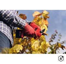 Une personne portant des gants de jardinage utilise un sécateur électrique Felco pour couper une branche d'un arbre aux feuilles jaunies. (Image AI modified or generated)