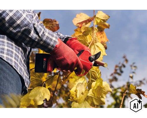Une personne portant des gants de jardinage utilise un sécateur électrique Felco pour couper une branche d'un arbre aux feuilles jaunies. (Image AI modified or generated)