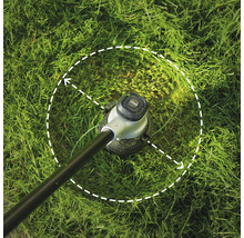 Tête de coupe-bordure Einhell sur une pelouse avec une ligne pointillée indiquant le cercle de coupe.