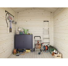 Vue intérieure d'un abri de jardin en bois, organisé avec armoire métallique, escabeau, dévidoir et outils de jardinage au sol et aux murs.