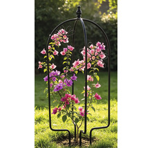 Treillis pour pot Lafiora oiseau 26 x 61 cm noir