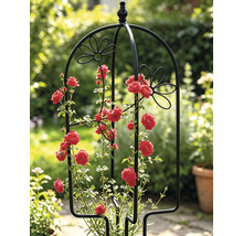 Treillis pour pot Lafiora oiseau 26 x 61 cm noir