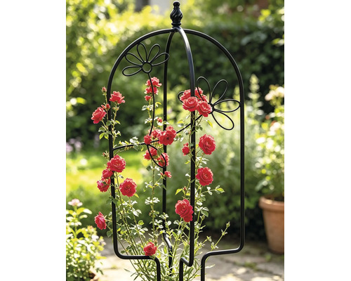 Treillis pour pot Lafiora oiseau 26 x 61 cm noir
