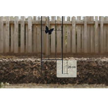 Treillis métallique noir avec papillon, enfoncé de 20 centimètres dans la terre devant une clôture en bois.