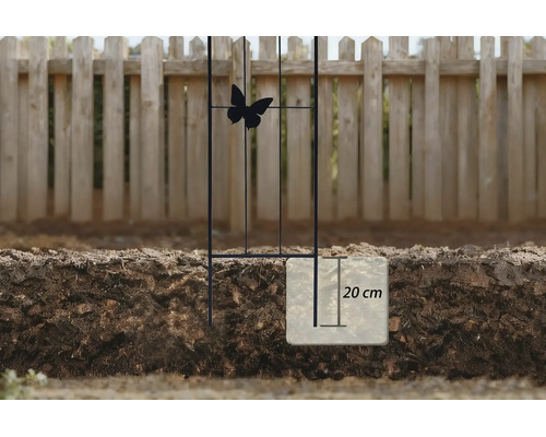 Treillis métallique noir avec papillon, enfoncé de 20 centimètres dans la terre devant une clôture en bois.