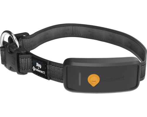 Weenect GPS-Tracker für Hunde, befestigt an einem dunklen Hundehalsband mit Schnellverschluss.