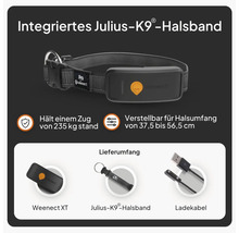 Weenect GPS-Tracker für Hunde mit integriertem Julius-K9 Halsband, inklusive Weenect XT Tracker und Ladekabel.