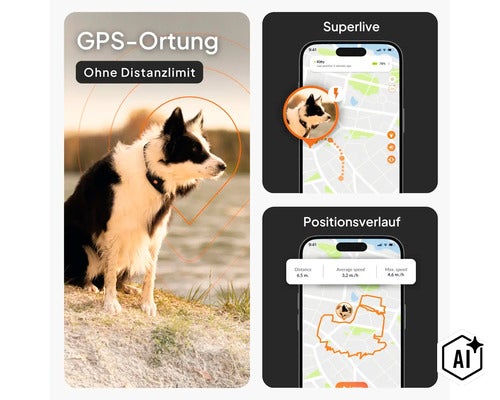 GPS-Tracker für Hunde mit App-Darstellung für Live-Ortung und Positionsverlauf ohne Distanzlimit. (Image AI modified or generated)