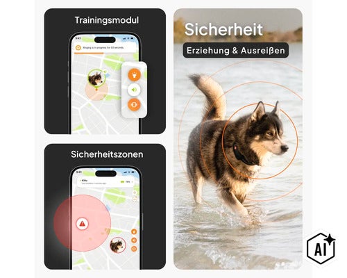 Infografik für Hunde-GPS-Tracker mit App-Funktionen wie Trainingsmodul, Sicherheitszonen und Ortung eines Hundes im Wasser. (Image AI modified or generated)