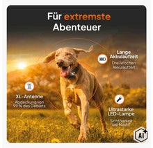 Hund mit GPS-Tracker-Halsband auf einer Wiese, mit Details zu XL-Antenne, langer Akkulaufzeit und LED-Lampe für extreme Abenteuer. (Image AI modified or generated)