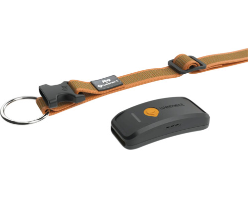 Weenect GPS-Tracker für Haustiere mit Halsbandbefestigung