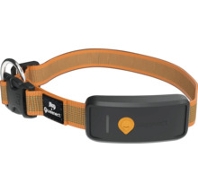 JK9 x Weenect Hundehalsband mit GPS-Tracker, verstellbar mit Klickverschluss und Ring.